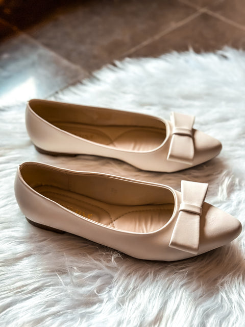 Paris Knot Ice Flats